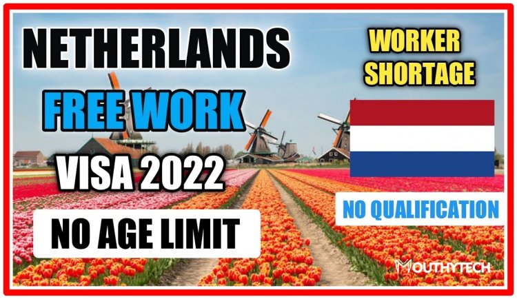 Work Visa in the Netherlands - Requirement | Application