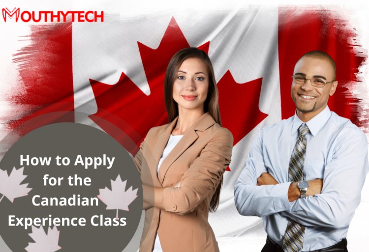 Understanding the Canadian Experience Class