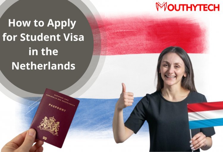 How to Apply for a Netherlands Student Visa