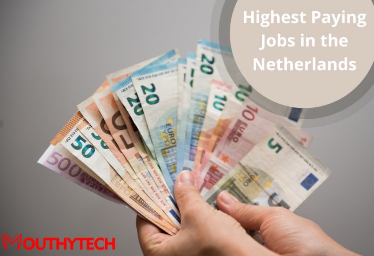 Find out the Highest Paying Jobs in the Netherlands