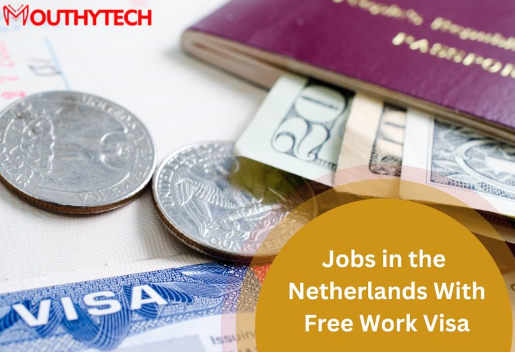 Apply Now! Jobs in the Netherlands With Free Work Visa 2023