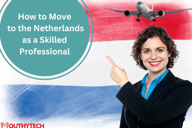 How to Move to the Netherlands as a Skilled Professional With a Netherlands Work Visa