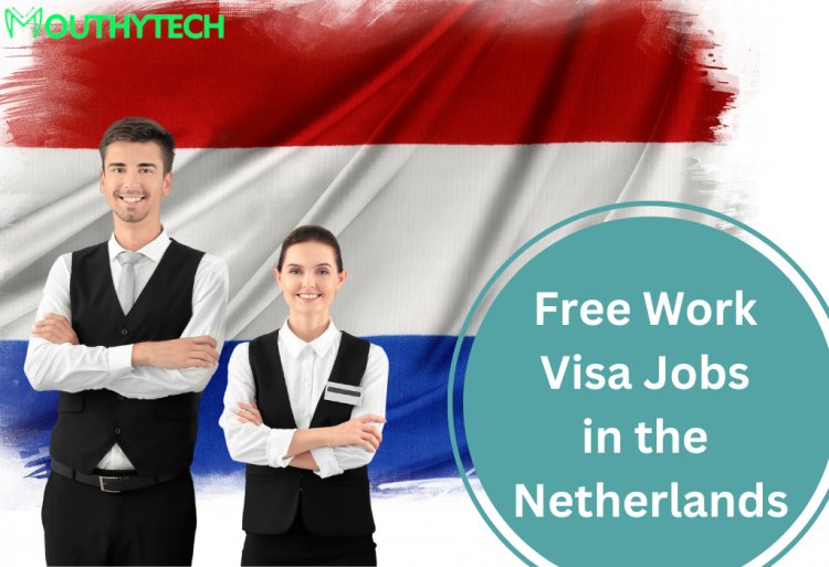 Free Work Visa Jobs in the Netherlands 2023