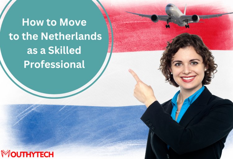 How to Move to the Netherlands as a Skilled Professional With a Netherlands Work Visa