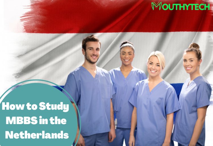 How to Study MBBS in the Netherlands as an International Student in 2023