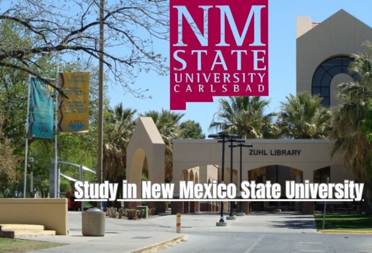 Study in New Mexico State University
