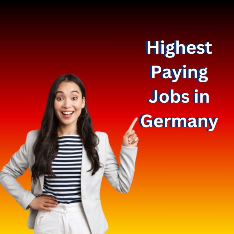 Top 8 Highest Paying Jobs in Germany for International Students