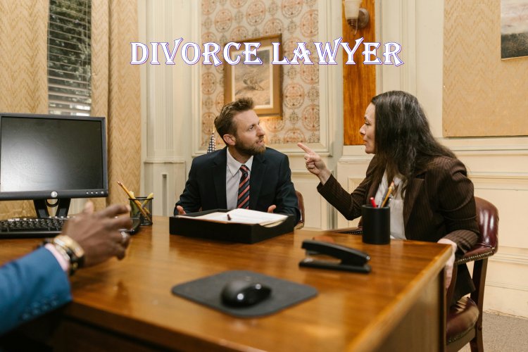 Divorce Lawyer: A Comprehensive Guide to Navigating the Legal Maze